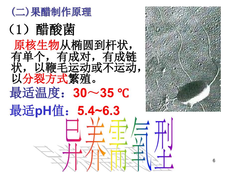 果酒和果醋的制作24631_第4页