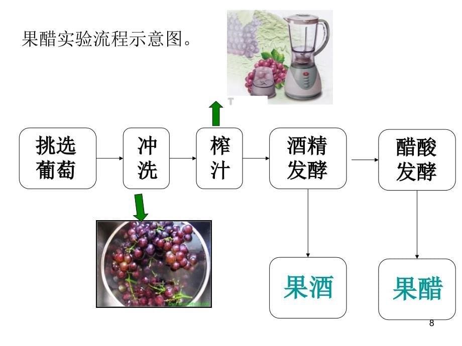 果酒和果醋的制作24631_第5页