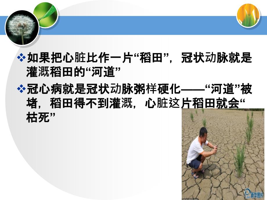 冠心病健康宣教.ppt_第4页