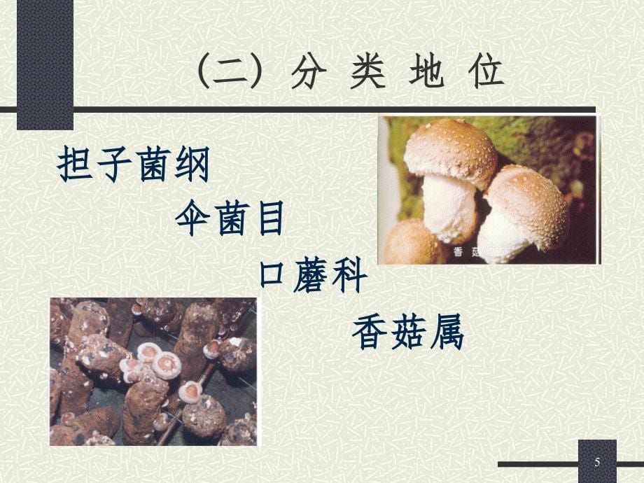 香菇栽培技术PPT精选文档_第5页