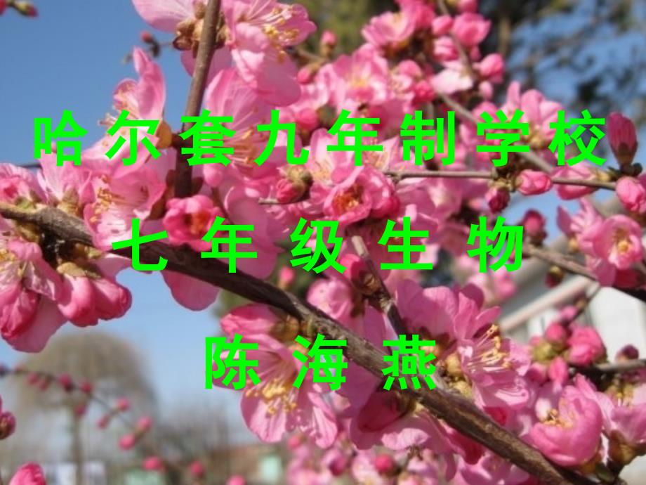 第四节输血与血型_第1页