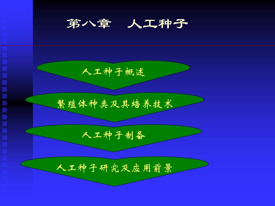 人工种子PPT课件_第1页