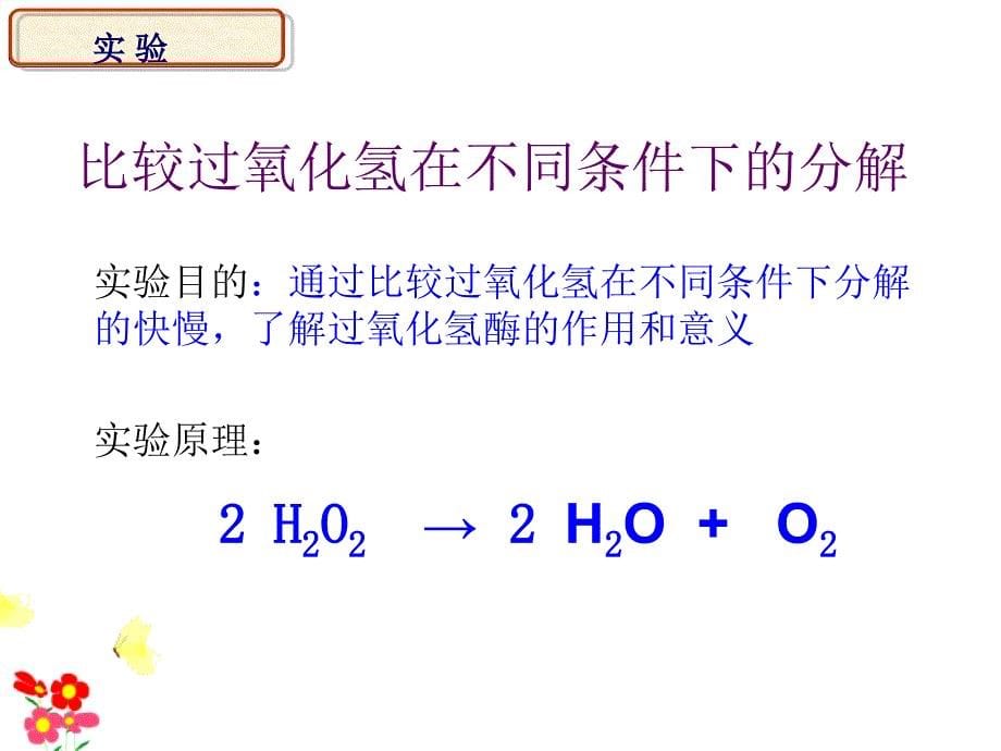 高一生物酶的作用和本质课件_第5页