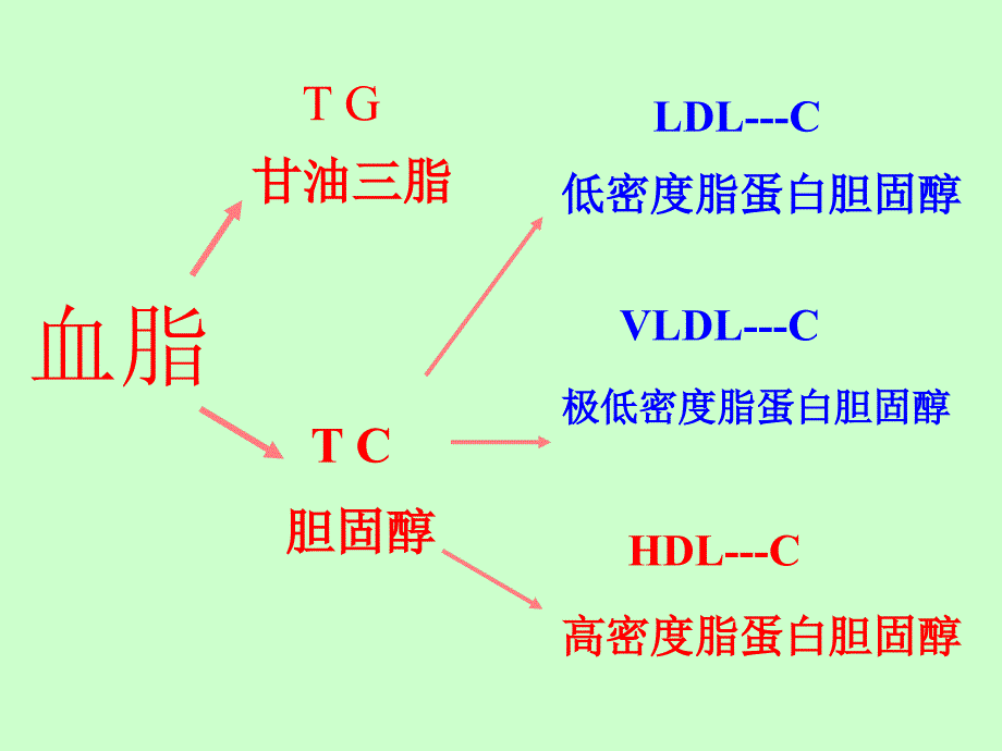 怎样清洗血管PPT课件_第3页