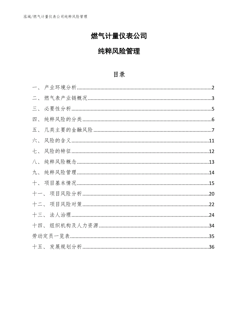 燃气计量仪表公司纯粹风险管理【参考】_第1页