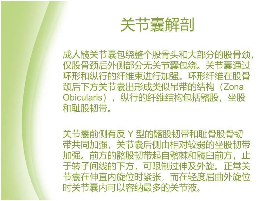 股骨颈骨折从解剖到手术的全面阐述_第5页