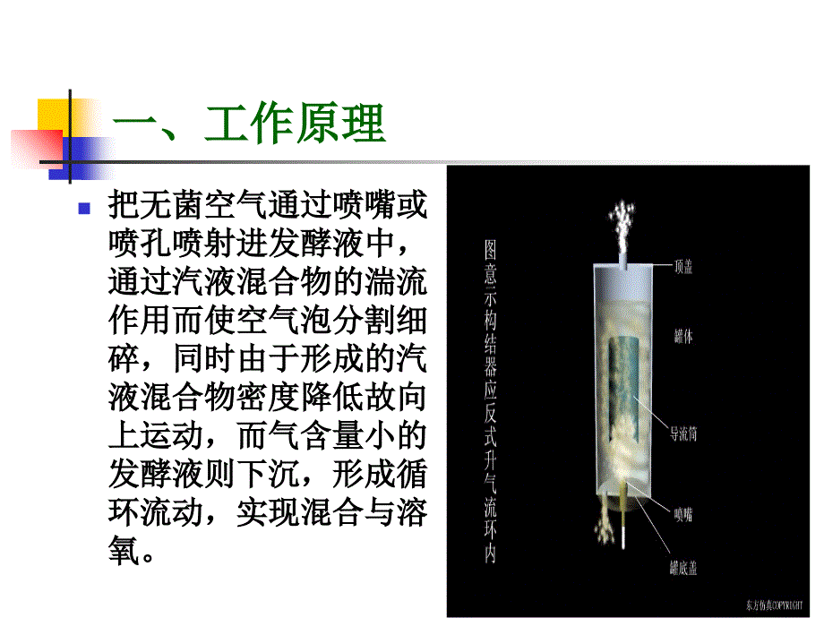 气升自吸式发酵罐课件_第4页