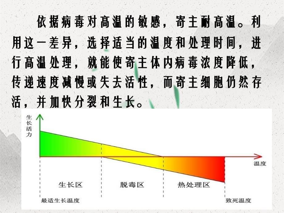 第5章植物脱毒快繁技术_第5页