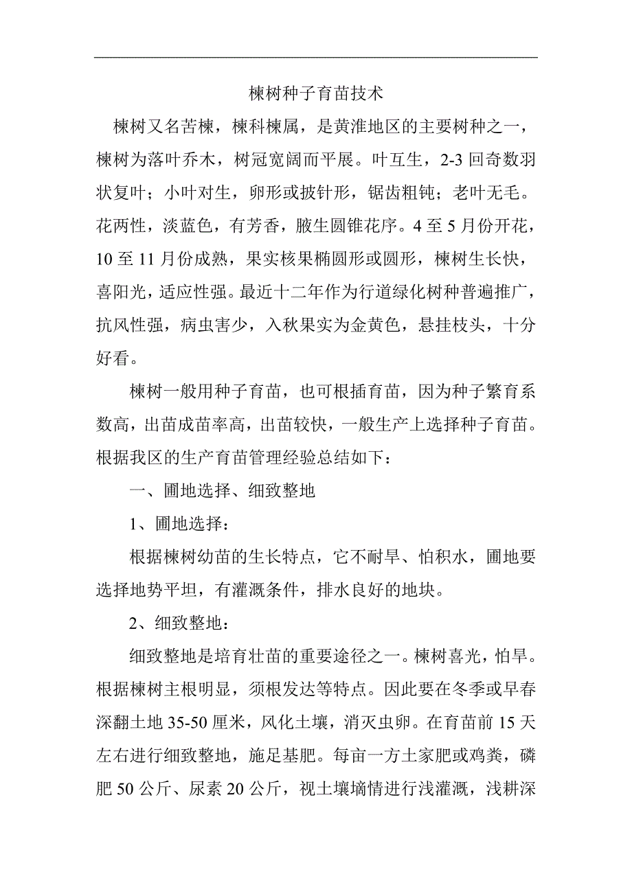 楝树种子育苗技术.doc_第1页