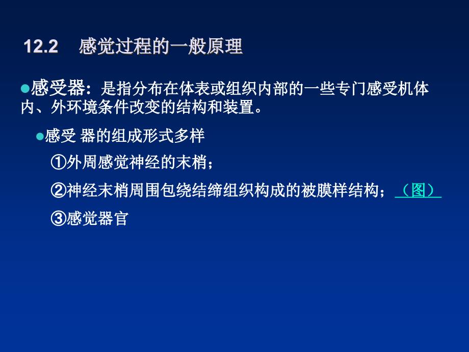 动物生理学第十二章神经系统的感觉机能与感觉器官文档资料_第1页