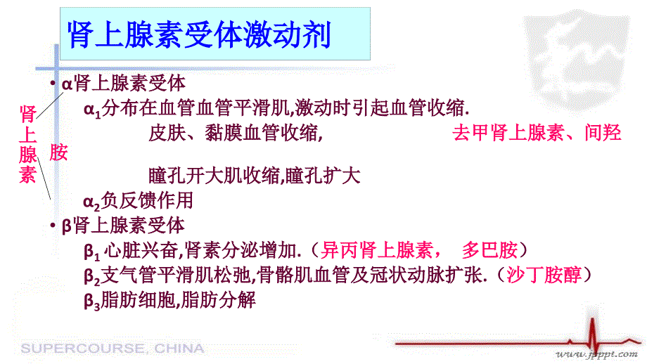 常规急救药品使用课件_第3页