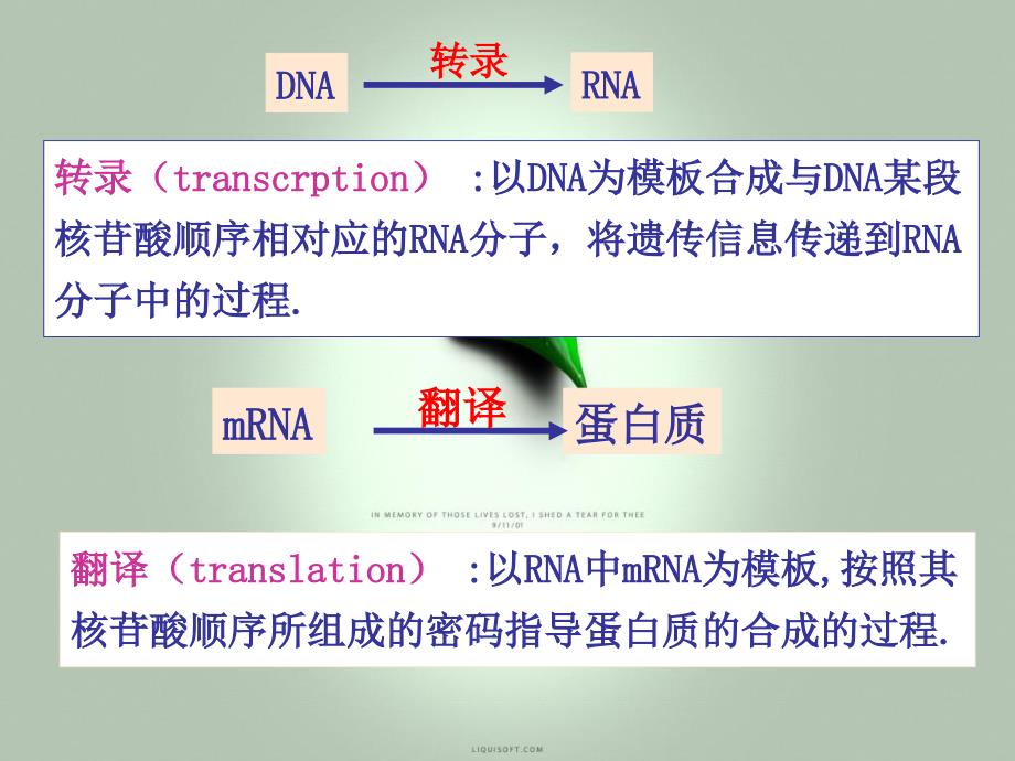 DNA合成081116_第3页