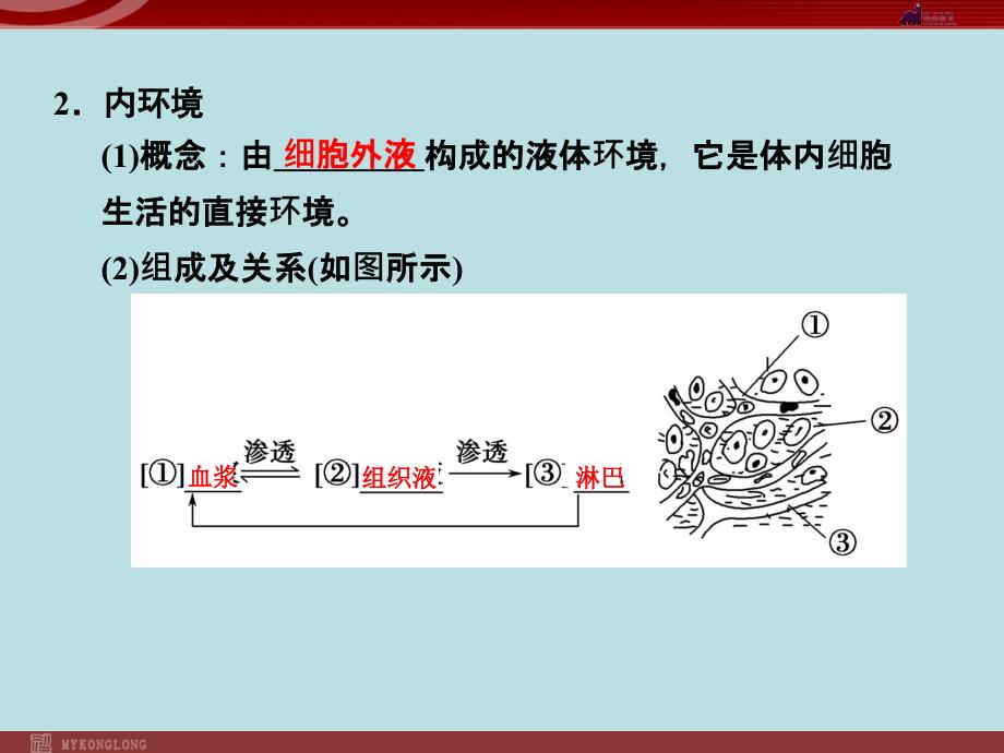 高效课堂同步课件：11细胞生活的环境必修3_第4页