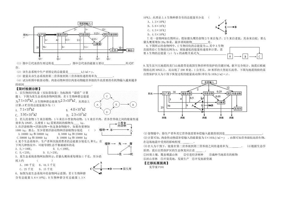 能量流动文档_第5页