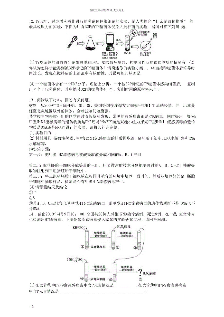 DNA是主要的遗传物质强化训练_第4页