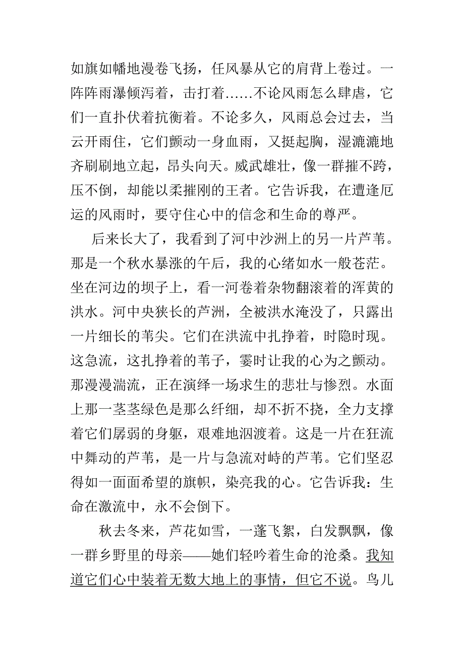 《拜谒芦苇》阅读训练.doc_第2页