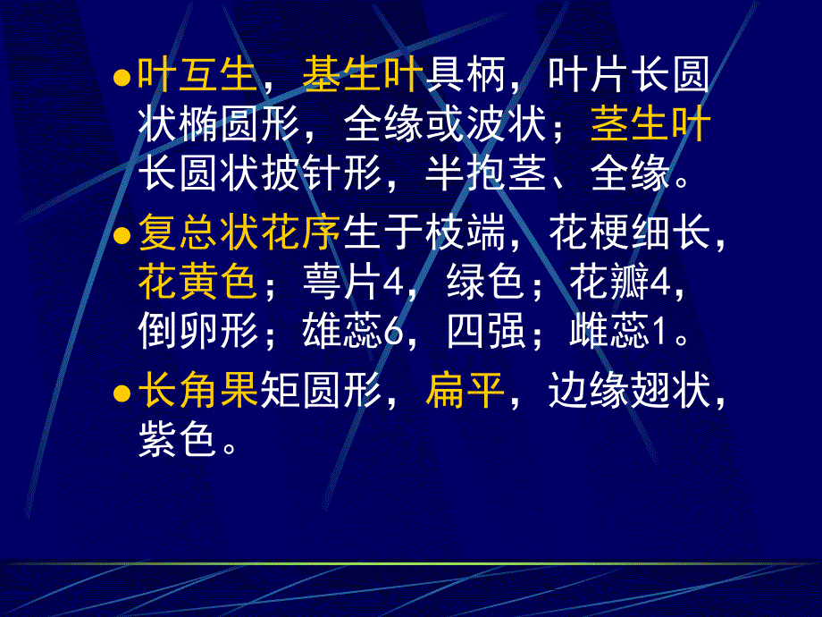 syx板兰根课件_第2页