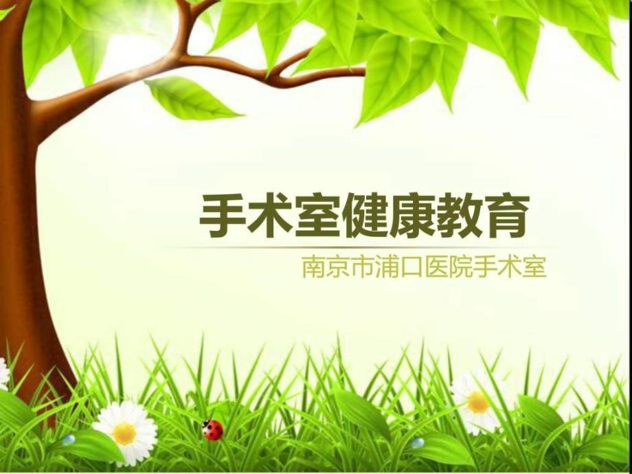 课件：手术室健康教育.ppt