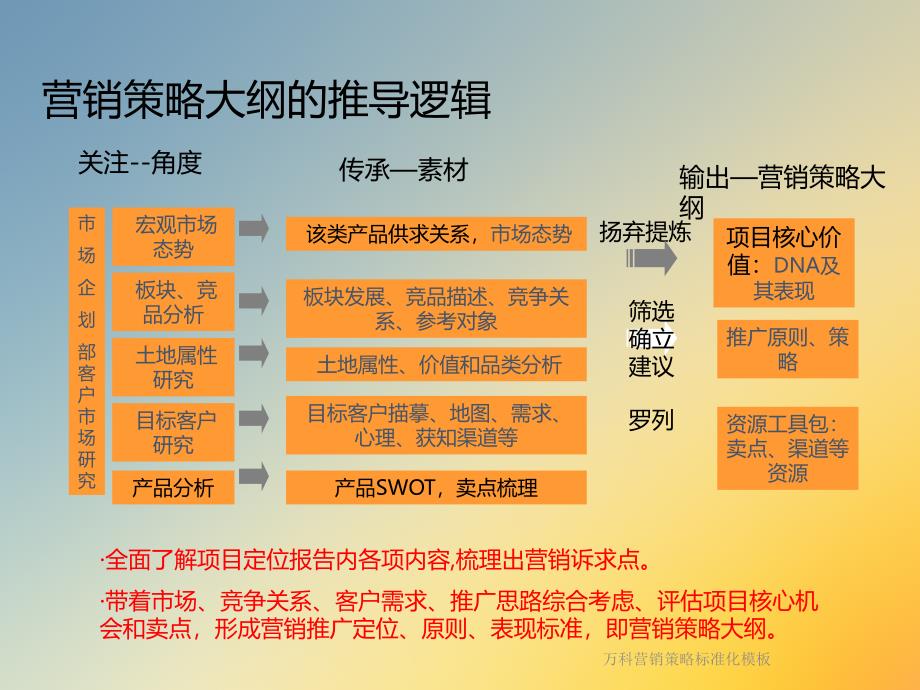 营销策略标准化模板课件_第2页