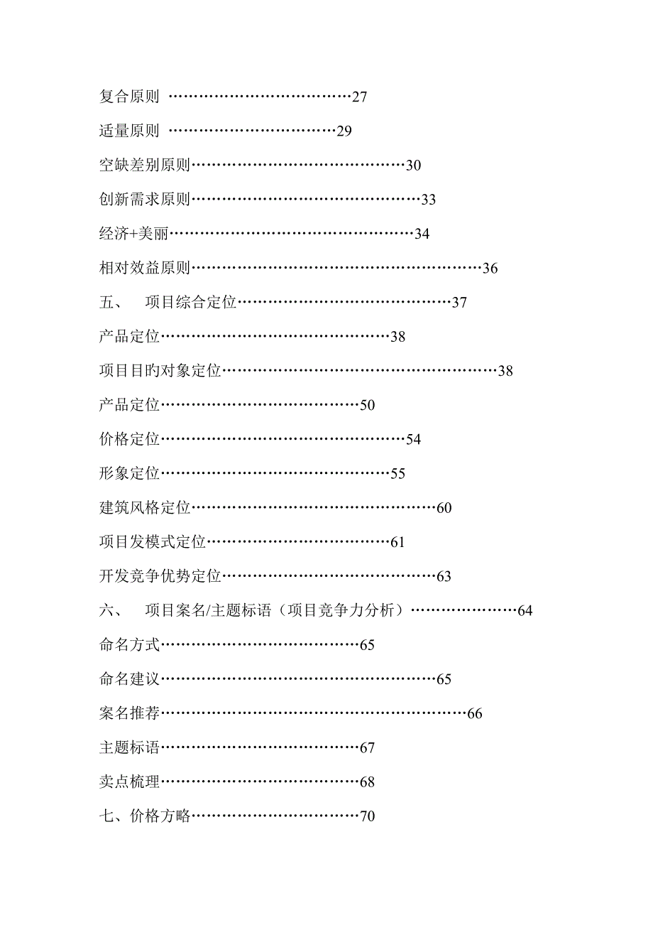 郑州专项项目市场定位核心专题策划报告_第2页