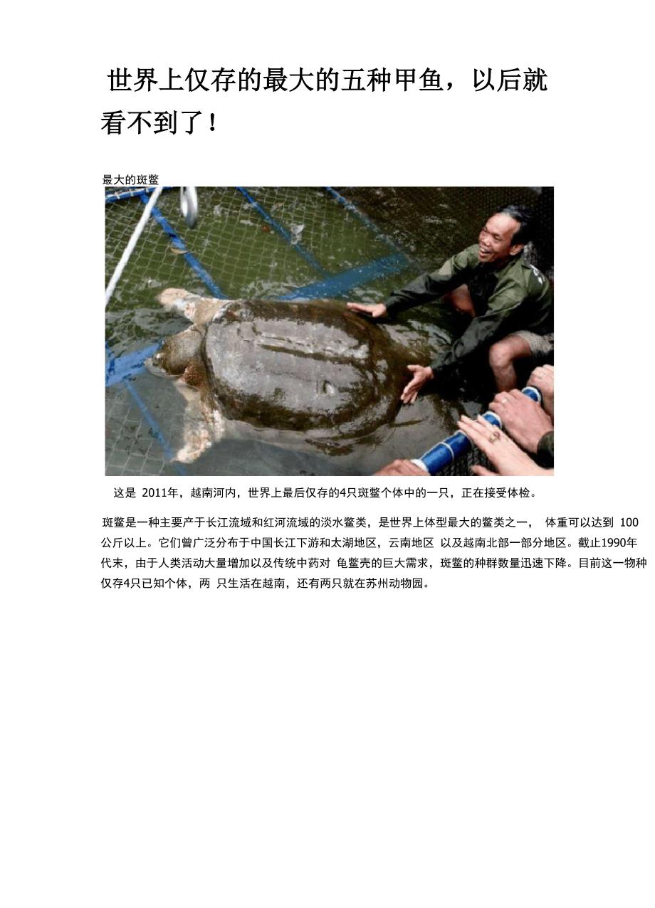 世界上仅存的最大的五种甲鱼以后就看不到了!_第1页