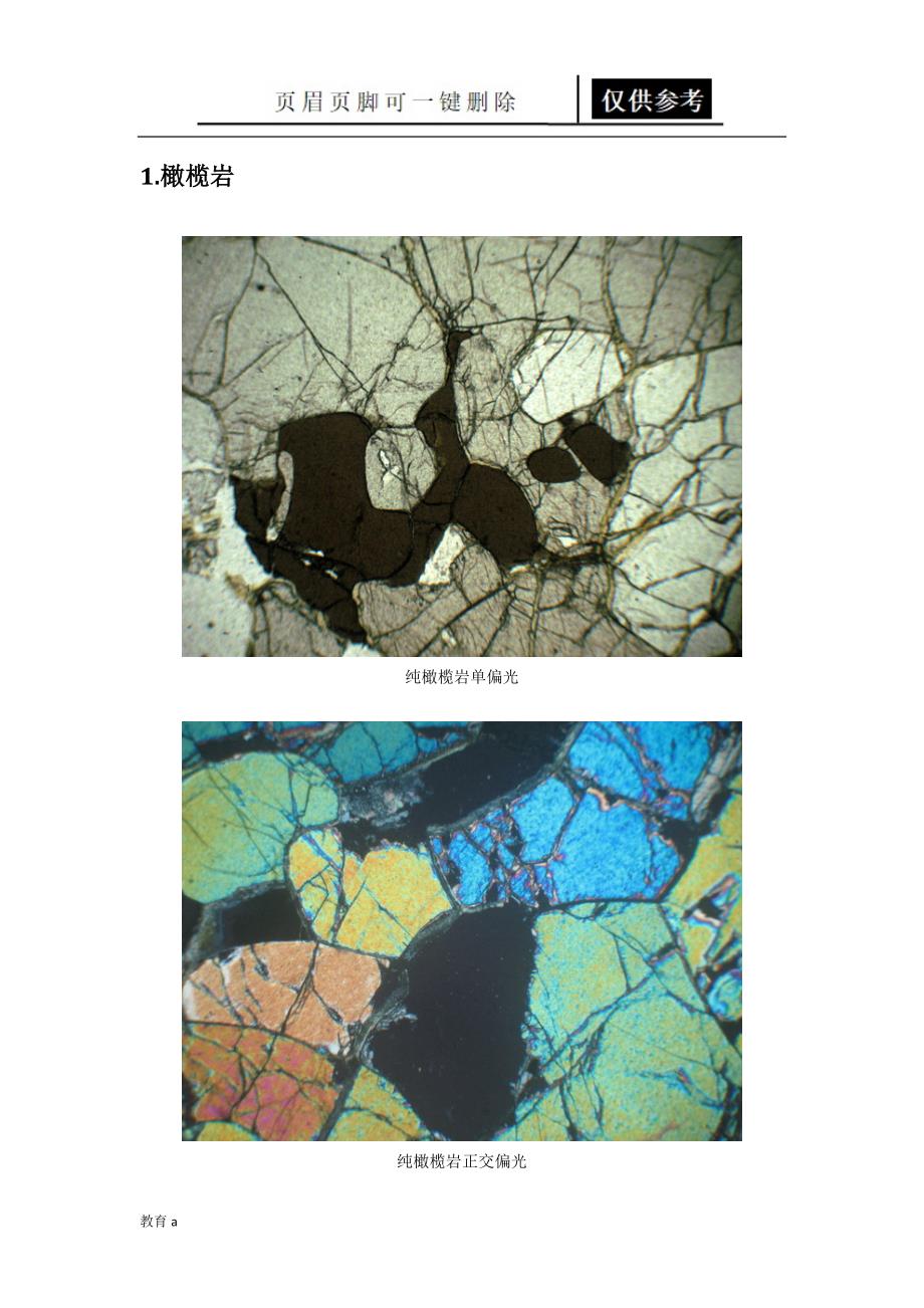 常见岩石偏光显微镜下照片谷风教学_第3页