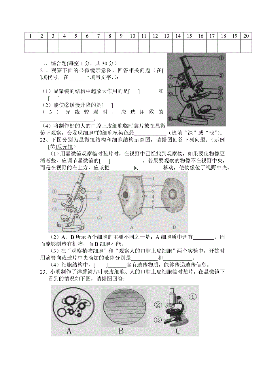 显微镜和细胞_第3页