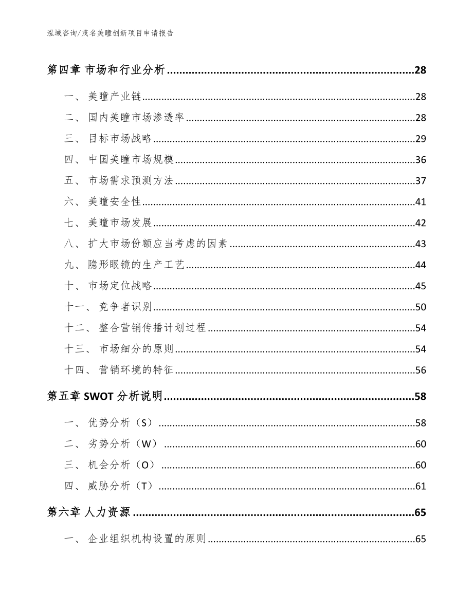 茂名美瞳创新项目申请报告（范文模板）_第2页