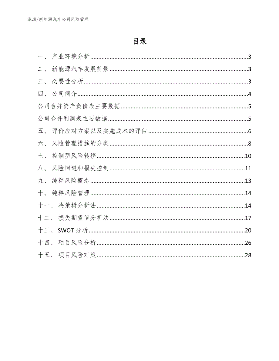 新能源汽车公司风险管理【参考】_第2页