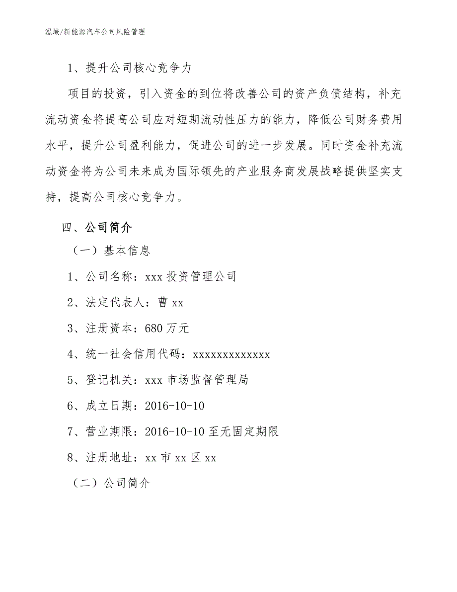 新能源汽车公司风险管理【参考】_第4页