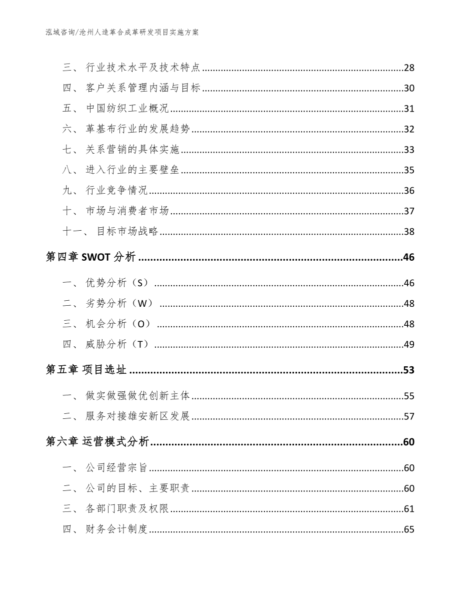 沧州人造革合成革研发项目实施方案参考模板_第3页