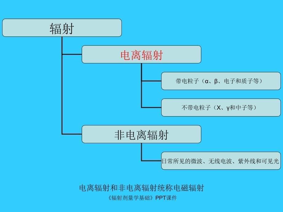 辐射剂量学基础课件_第5页