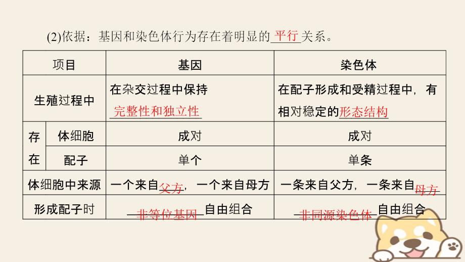 生物 第二章 基因和染色体的关系 第2节 基因在染色体上 新人教版必修2_第4页