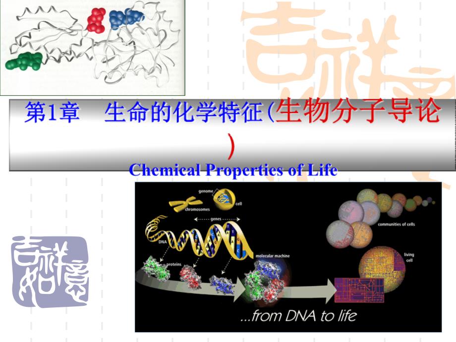 《生命的化学特征》PPT课件.ppt_第1页