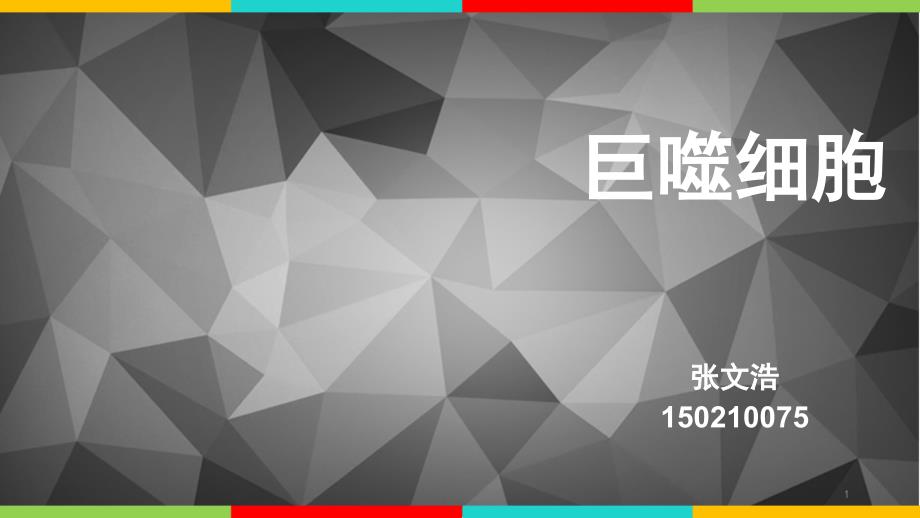 巨噬细胞介绍及其与肿瘤细胞的关系PPT幻灯片_第1页