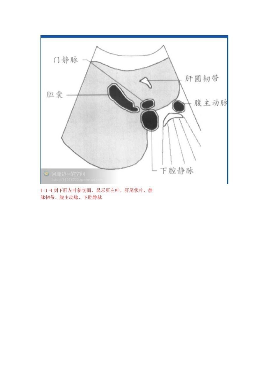 20个肝脏超声切面你常用哪几种切面来应对肝脏方面的检查_第5页