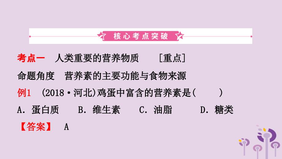 河北省2019年中考化学一轮复习 第十四讲 化学与生活课件_第2页