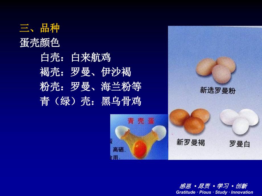 蛋鸡生产培训通用课件_第4页