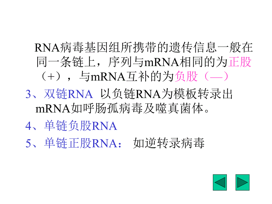 病毒基因组核酸的主要类型_第4页