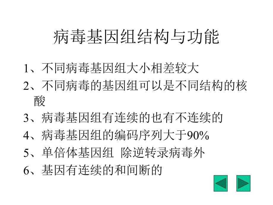 病毒基因组核酸的主要类型_第5页