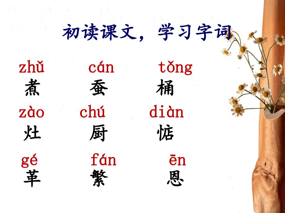 三年级下册语文课件23.朱德和母亲l 西师大版(共18张PPT)_第3页