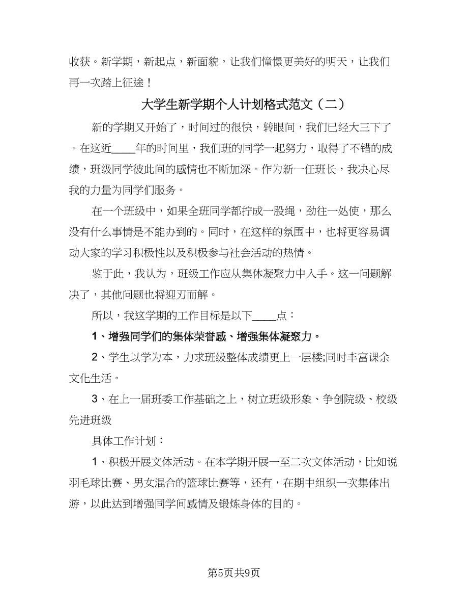 大学生新学期个人计划格式范文（三篇）.doc_第5页