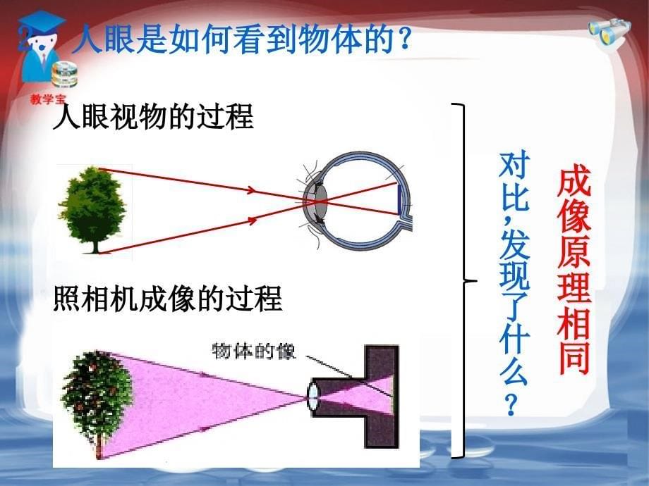 54眼睛和眼镜（修改）_第5页