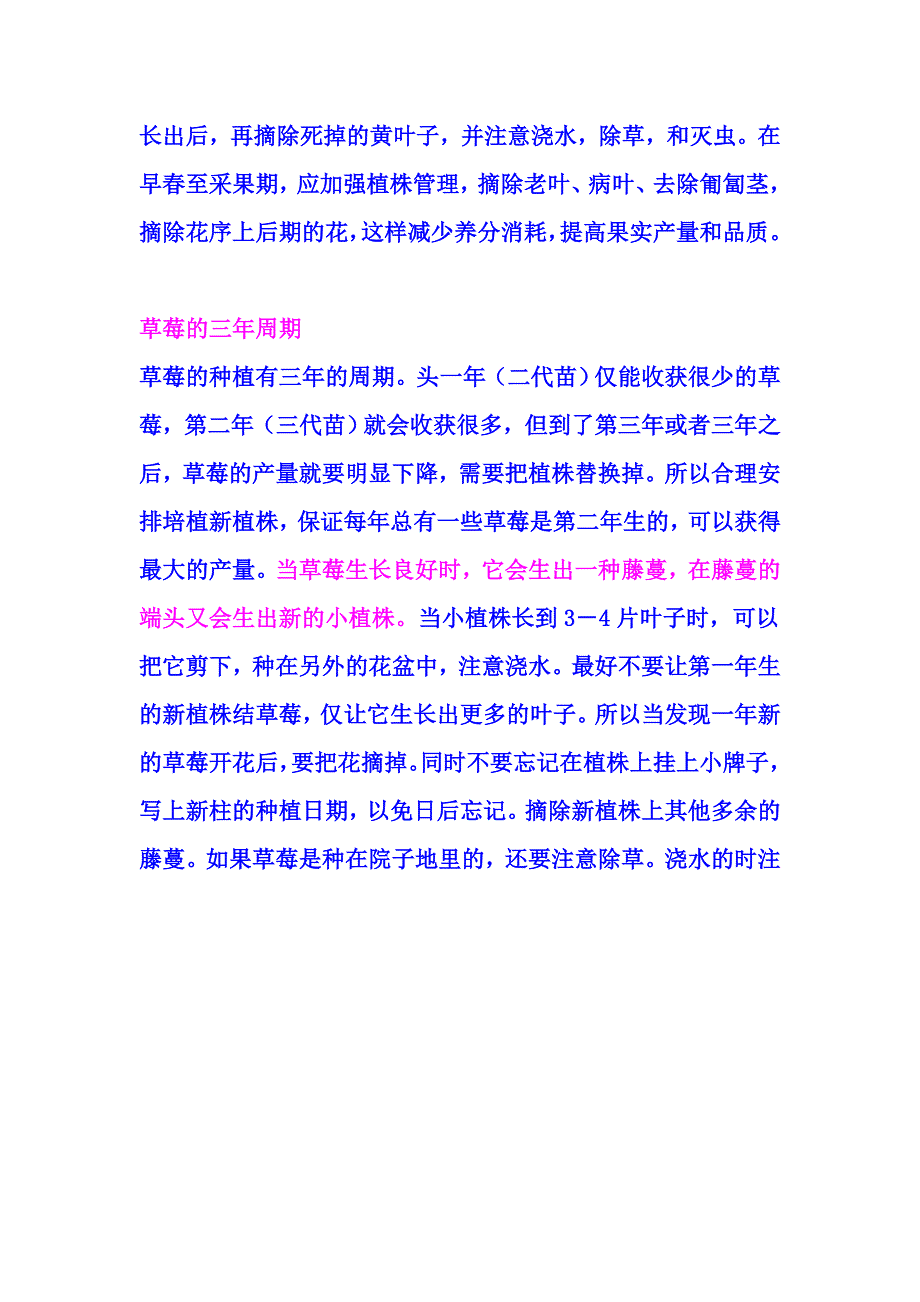 盆栽草莓栽培技术图解.doc_第4页