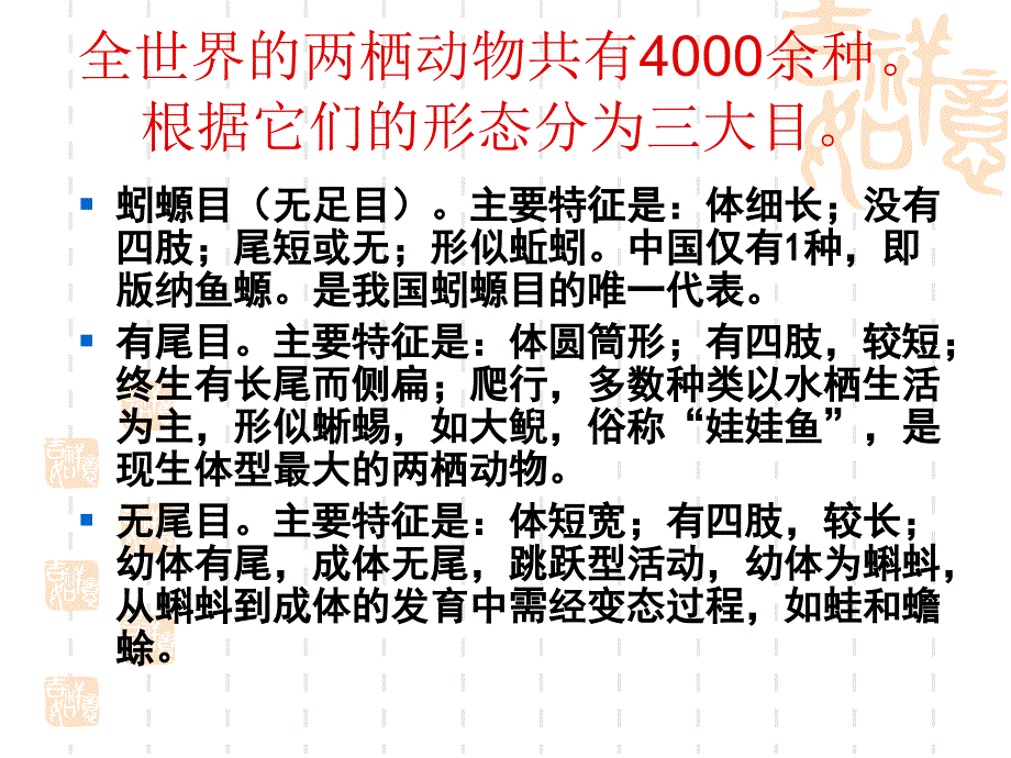 认识两栖动物PPT课件_第3页