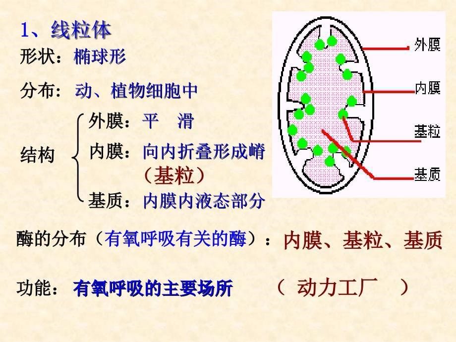 人教版教学课件细胞器——细胞内的分工合作(第一时) 课件1_第5页