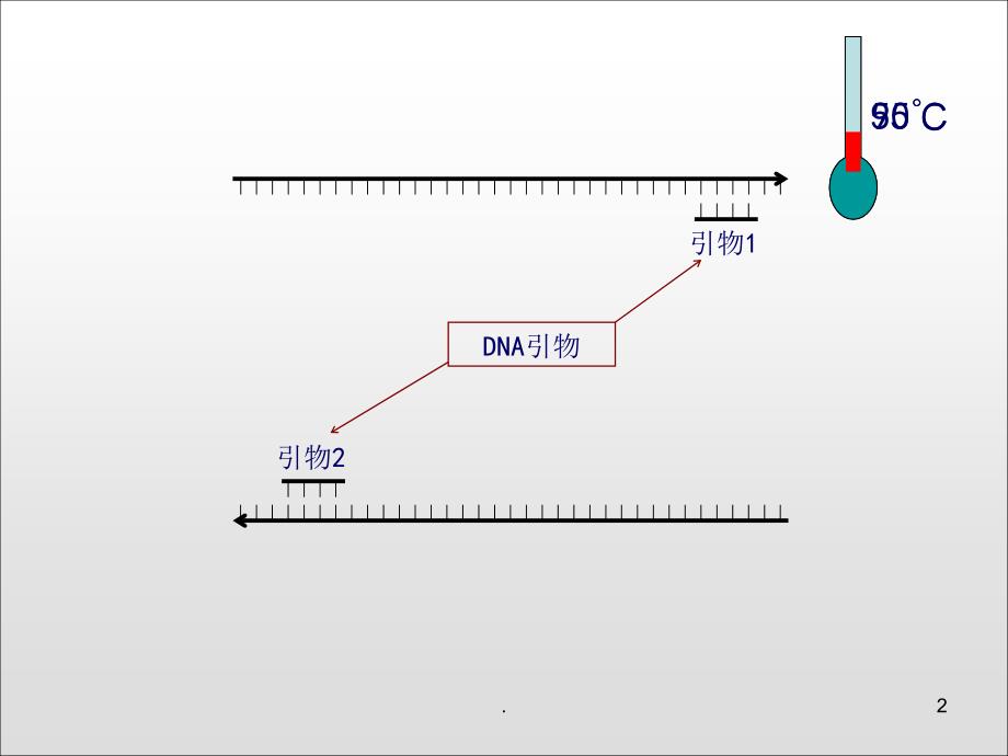 PCR原理动画示意全屏播放优秀课件_第2页
