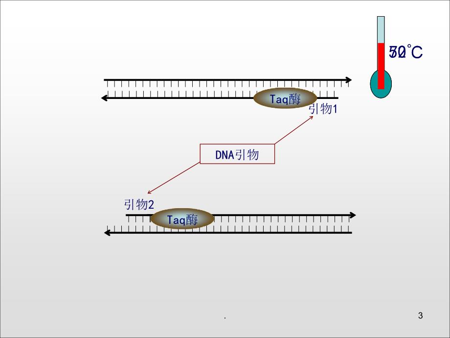 PCR原理动画示意全屏播放优秀课件_第3页
