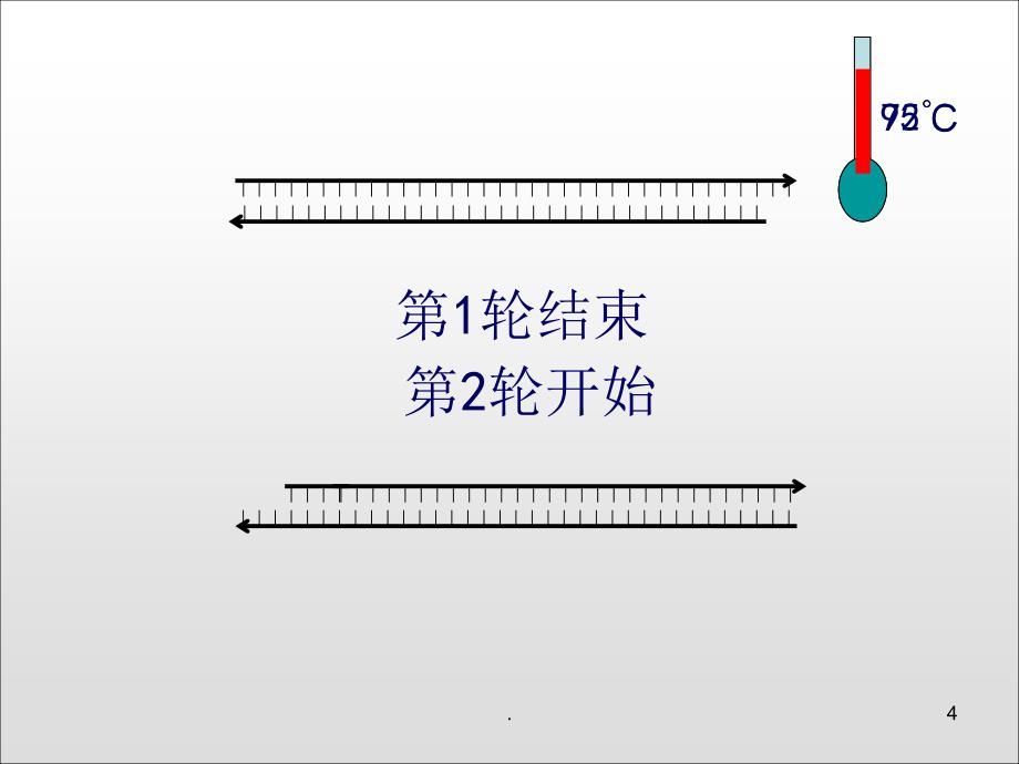 PCR原理动画示意全屏播放优秀课件_第4页