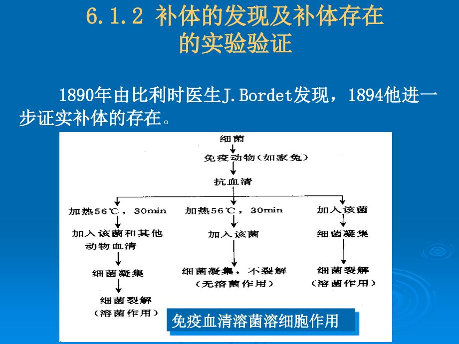 免疫学：5-1 补体系统_第2页